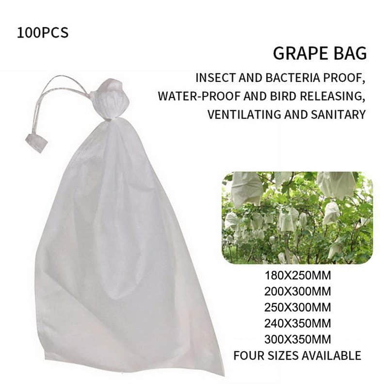 Grapes Cover Bag Bag Size: Different Size Available at Best Price in Ponda  | Suvarn Spunfabrics