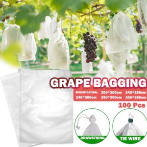 Grapes Bags Net