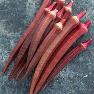Hill Country Red Okra Seeds