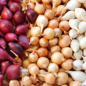 3 Colors Mix Onion Sets (Bulbs) online shop - Click to Grow