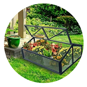 Wood Cold Frame Greenhouse
