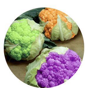 How To Grow Cauliflower