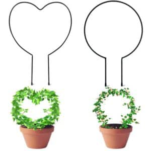 Iron Round Heart Shaped Garden Plant Support