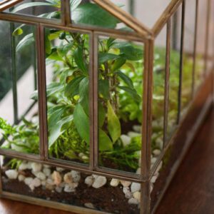 Handmade Large Glass Greenhouse Terrarium
