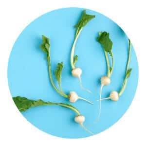 how to grow organic turnip