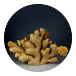 how to grow organic ginger