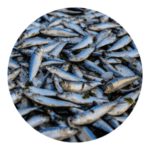 fish emulsion fertilizer