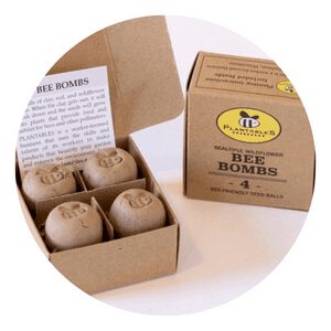 Bee Bombs - gift box of 4 wildflower seed balls for pollinators
