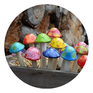 Micro Shroomyz Variety Pack Collection