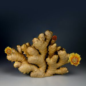 How To Grow Organic Ginger