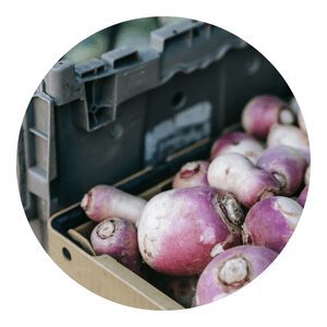 How To Grow Organic Turnip