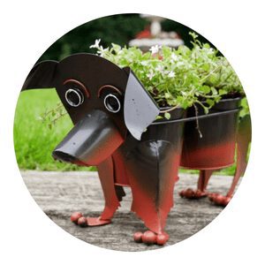 animal plants creative pots