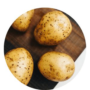 Organic Fertilizer grow Potato