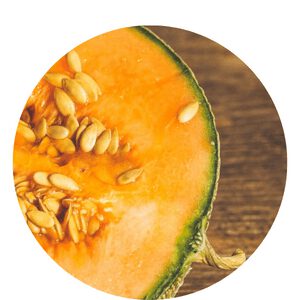 Organic Fertilizer Melon