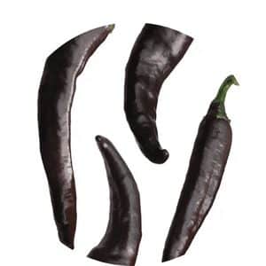Grow Chilaca peppers