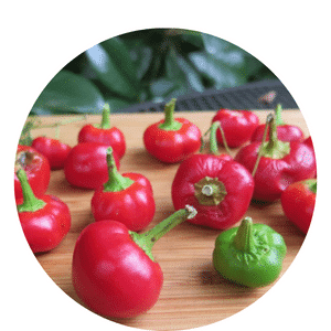 grow cherry peppers
