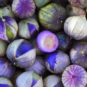 Rare Purple Coban Tomatillo Seeds