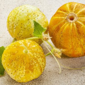 Lemon Cucumber Heirloom NON-GMO Rare Crispy Sweet