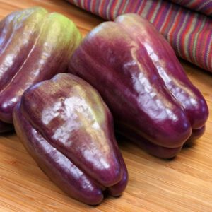 Purple Bell Pepper Lilac seeds