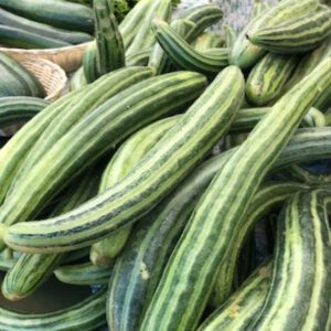 Armenian Striped Cucumber seeds