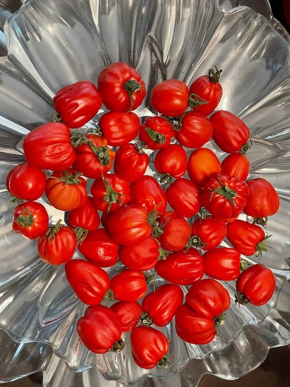 Accordion Cherry Tomato Seeds