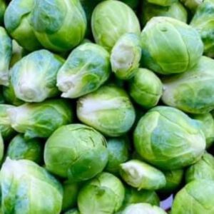 Catskill Brussels Sprout Seeds