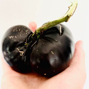 Black Beauty Non GMO Heirloom Tomato Seeds