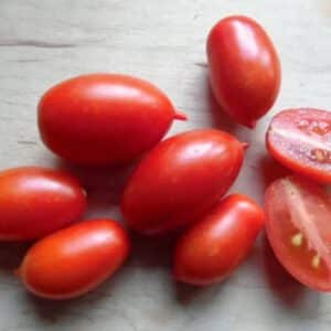 Hardin's Miniature Micro Dwarf Sweet Cherry Tomato Seeds