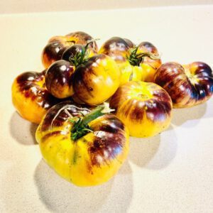 Afternoon Delight-Non GMO- Heirloom Tomato Seeds