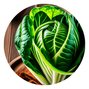 How to grow organic Cabbage
