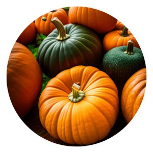 How to grow organic Pumpkin
