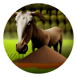 Donkey manure organic fertilizer vegetables