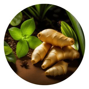 How to grow organic Ginger