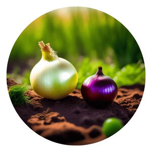How to grow organic Onion