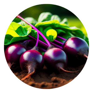 How to grow organic beets