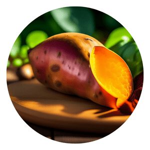 How to grow organic Sweet Potato