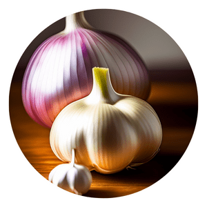 grow organic garlic