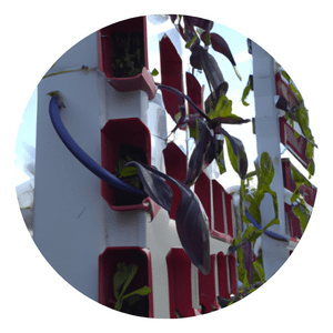 Vegetable Gardening With Hydroponic Tower Systems