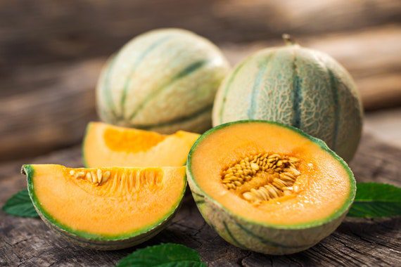 Minnesota Midget Melon Fruit Seeds - Non-GMO Heirloom Variety - Growing ...