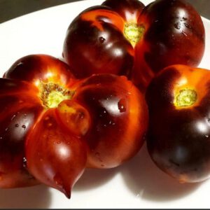 Indigo Apple Tomato Seeds Organic