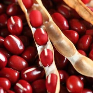Adzuki Red Bean Seeds