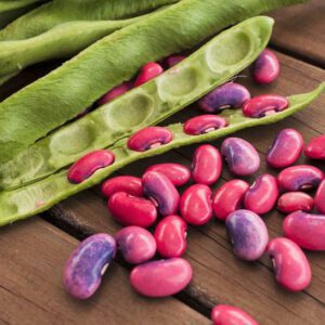 Scarlet Runner Bean Seeds Magic Pink