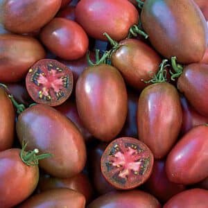 Ukrainian Purple Tomato seeds