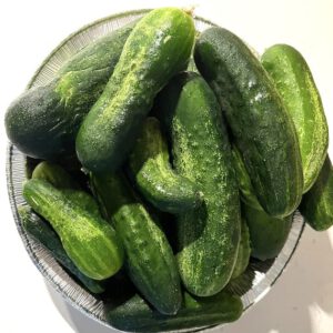 Spacemaster Cucumber Seeds | Heirloom