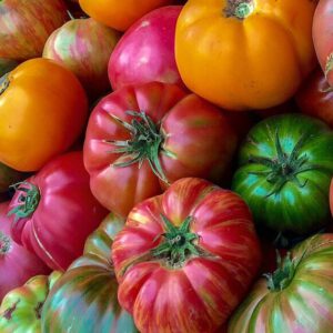 Heirloom Beefsteak Mix Tomato Seeds Organic Online
