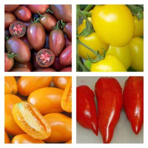 Paste Tomato Mix | Organic Seeds heirloom