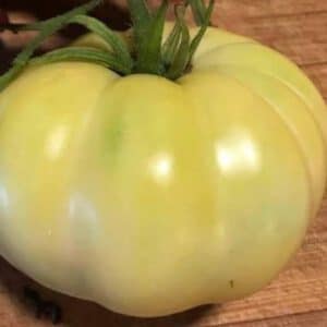 White Tomesol Tomato Seeds