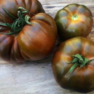 Black Russian Tomato Seeds Heirloom