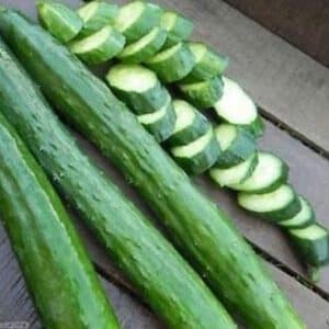 Japanese Long Burpless Cucumber Seeds