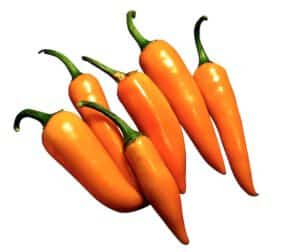 Bulgarian Carrot Pepper Organic Seeds